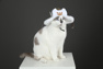 Picture of Monster Hunter Wilds Felyne Cat Cosplay Hat C09329