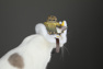 Picture of Monster Hunter Wilds Felyne Cat Cosplay Hat C09329