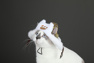 Picture of Monster Hunter Wilds Felyne Cat Cosplay Hat C09329