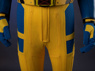 Picture of Deadpool 3 James Howlett Wolverine Cosplay Costume for Kids C09419