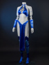 Picture of Mortal Kombat Kitana Cosplay Costume PCS Version FY0032