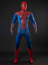 Picture of Amazing Peter Parker Cosplay Costume C09221S