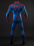 Picture of Amazing Peter Parker Cosplay Costume C09221S