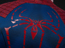 Picture of Amazing Peter Parker Cosplay Costume C09221S