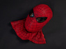 Picture of Amazing Peter Parker Cosplay Costume C09221S