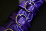 Picture of Game Rivals Psylocke Cosplay Costume Updated Version C09456