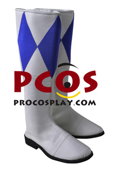 Picture of Mighty Morphin Power Rangers Tricera Ranger Dan Blue Ranger Cosplay Boots C08835