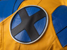 Picture of Game Rivals Wolverine Logan James Howlett Cosplay Costume Budget-friendly Version FY0176