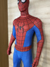 Picture of PRESALE Brand New Day Peter Parker Cosplay Costume C09559