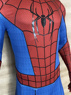 Picture of PRESALE Brand New Day Peter Parker Cosplay Costume C09559