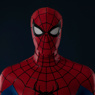 Picture of Brand New Day Peter Parker Cosplay Costume Silicone Printed Version C09586