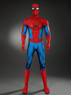 Picture of Brand New Day Peter Parker Cosplay Costume Budget-friendly Version C09587E