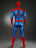 Picture of Brand New Day Peter Parker Cosplay Costume Budget-friendly Version C09587E