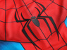 Picture of Brand New Day Peter Parker Cosplay Costume Budget-friendly Version C09587E