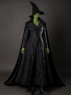 Picture of Lady Wizard Cosplay Costume FY0194
