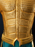 Picture of Ready to Ship The Lost Kingdom Arthur Curry Aquaman Cosplay Costume C09143 AAA Ultimate Version