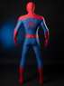 Picture of Brand New Day Peter Parker Cosplay Costume C09588S