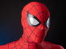 Picture of Brand New Day Peter Parker Cosplay Costume C09588S