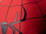 Picture of Brand New Day Peter Parker Cosplay Costume C09588S