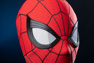 Picture of Brand New Day Peter Parker Cosplay Costume C09588S