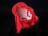 Picture of Brand New Day Peter Parker Cosplay Costume C09588S