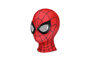 Picture of Brand New Day Peter Parker Cosplay Costume For Kids C09609