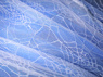 Picture of Corpse Bride Cosplay Costume C09592
