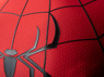 Picture of Ready to Ship Brand New Day Peter Parker Cosplay Costume C09588S