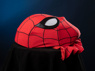 Picture of Ready to Ship Brand New Day Peter Parker Cosplay Costume C09588S