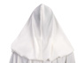 Picture of A New Hope Princess Leia Cosplay Costume C09722