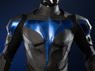 Picture of PRESALE Titans Nightwing Dick Grayson Cosplay Costume Matte Version C09737
