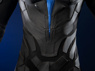Picture of PRESALE Titans Nightwing Dick Grayson Cosplay Costume Matte Version C09737