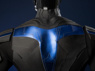 Picture of PRESALE Titans Nightwing Dick Grayson Cosplay Costume Matte Version C09737