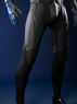 Picture of PRESALE Titans Nightwing Dick Grayson Cosplay Costume Matte Version C09737
