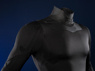 Picture of PRESALE Titans Nightwing Dick Grayson Cosplay Costume Matte Version C09737
