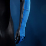 Picture of Comic Nightwing Dick Grayson Cosplay Costume Jumpsuit C09769