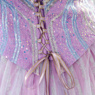 Picture of Princess Dress Cosplay Costume Embroidered Version C09790