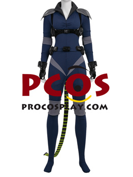 Picture of Absolute Catwoman Selina Kyle Cosplay Costume C09802