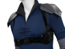 Picture of Absolute Catwoman Selina Kyle Cosplay Costume C09802