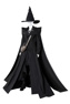 Picture of Lady Wizard Cosplay Costume Upgraded Version C09799