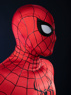 Picture of Brand New Day Peter Parker Cosplay Costume Silicone Printing Enhanced Version C09820