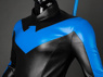 Picture of Comic Nightwing Dick Grayson Cosplay Costume Budget Friendly Version C09855E