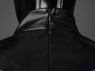 Picture of Comic Nightwing Dick Grayson Cosplay Costume Budget Friendly Version C09855E